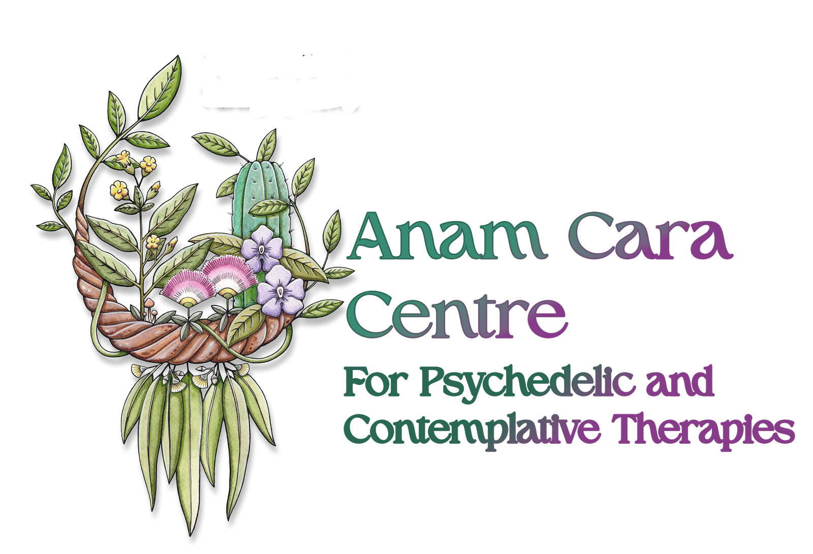 Anam Cara Centre for Psychedelic and Contemplative Therapies